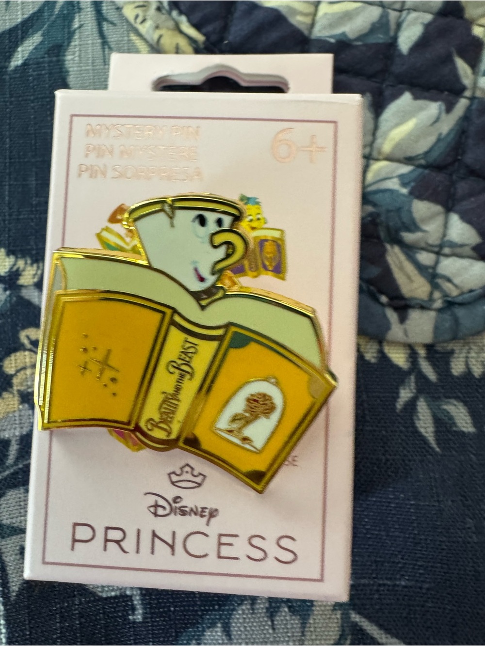 Disney Princess Sidekicks Books Box Enamel Pin Chip Beauty and the beast